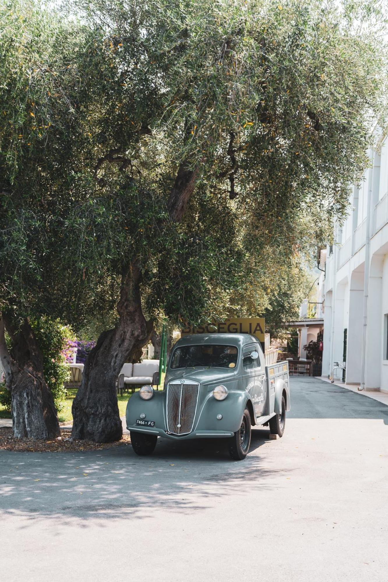 Agriturismo Giorgio Mattinata Dış mekan fotoğraf