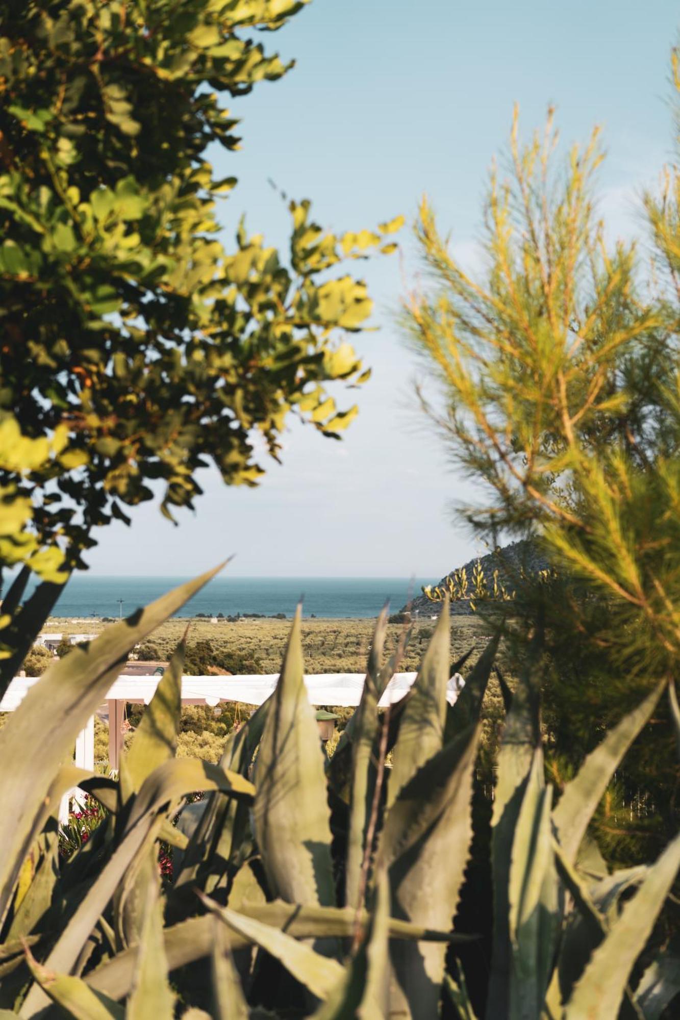 Agriturismo Giorgio Mattinata Dış mekan fotoğraf