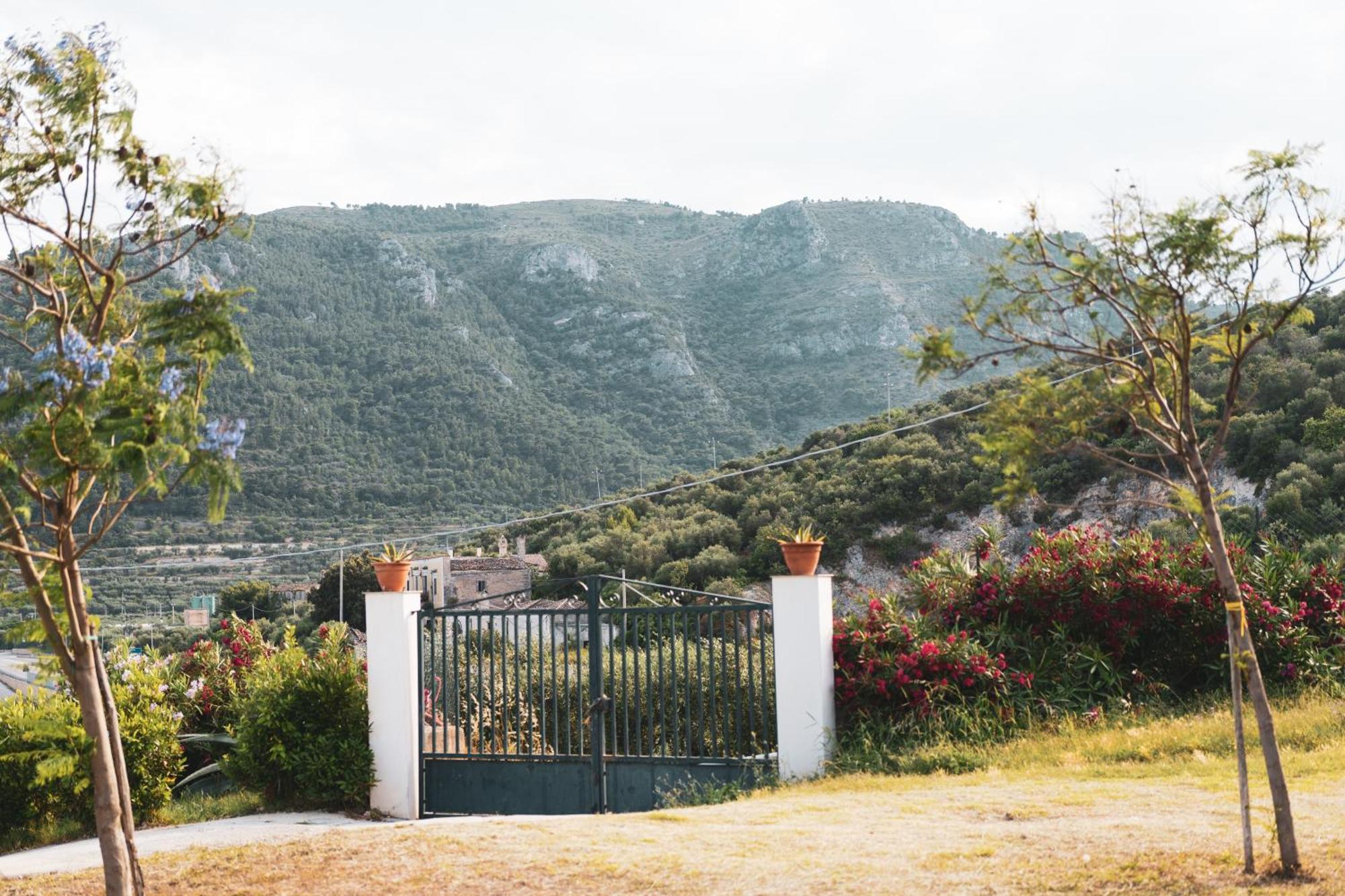 Agriturismo Giorgio Mattinata Dış mekan fotoğraf