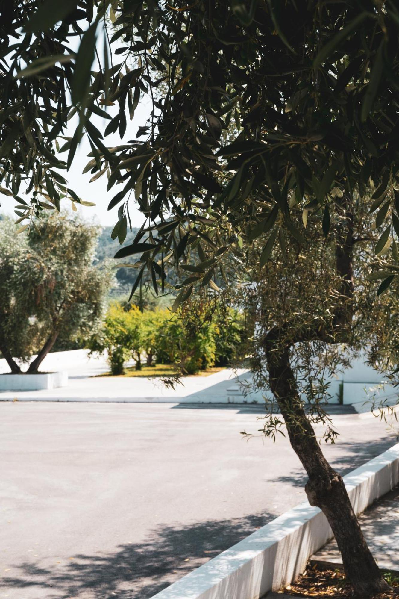 Agriturismo Giorgio Mattinata Dış mekan fotoğraf