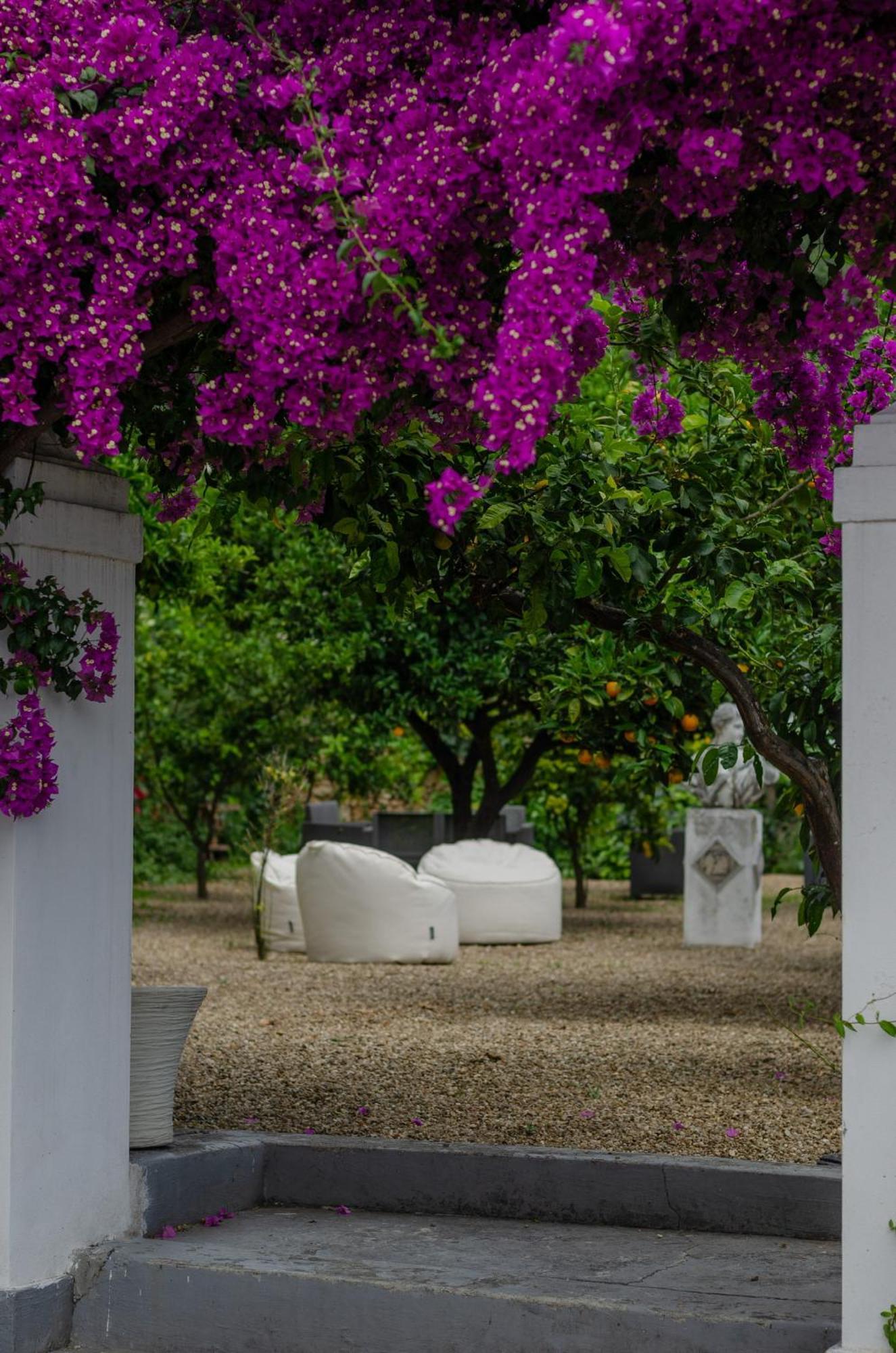 Agriturismo Giorgio Mattinata Dış mekan fotoğraf
